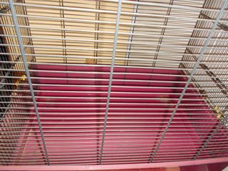 JAULA GRANDE / METAL y PLASTICO / PAJAROS GRANDES