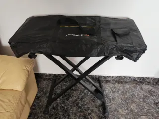 Teclado Casio CT-X3000