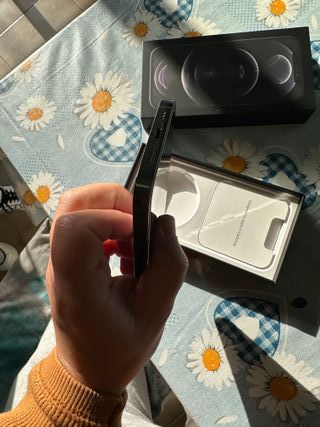 iPhone 12 Pro Grigio Siderale