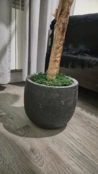 Planta Platanero Artificial + Macetero Cerámica
