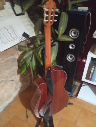 Guitarra Alhambra 5P CW E2