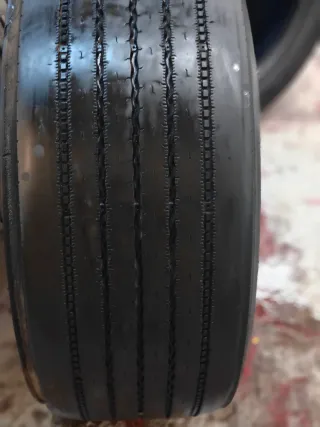 Neumáticos de camión y coche variados