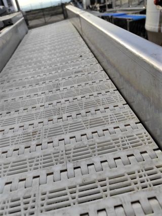 Cinta transportadora intralox OMAR inox 3 metros