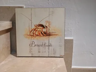 Cuadros de Flores Decorativos