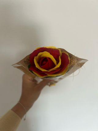 Rosa Sant Jordi