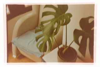 Cámara Analógica Fujica GER