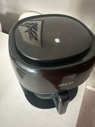 Freidora Cesta cristal grieta (LEER DESCRIPCIÓN)