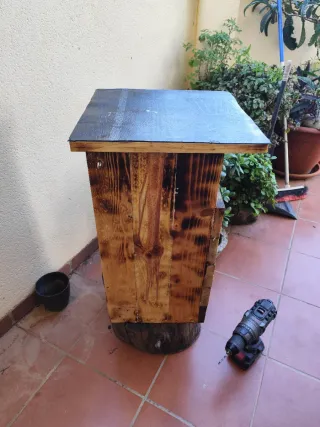 Caja nido para Cárabo