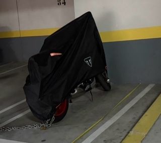 Triumph Trident 660 Edición especial Tribute 2025