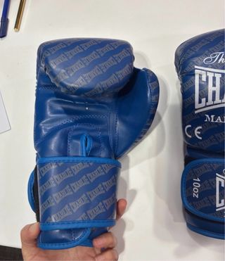 Guantes de Boxeo Charlie 10oz Piel Búfalo