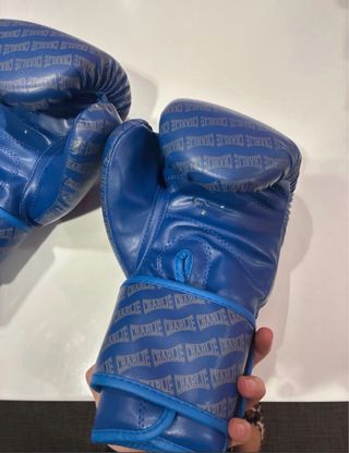 Guantes de Boxeo Charlie 10oz Piel Búfalo