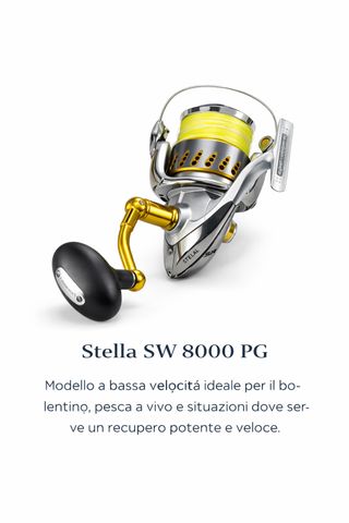 Shimano Stella SW 8000PG – Mulinello Spinning Top