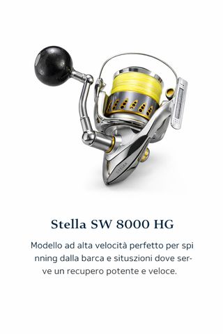 Shimano Stella SW 8000PG – Mulinello Spinning Top