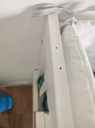 Minicuna colecho Allegra