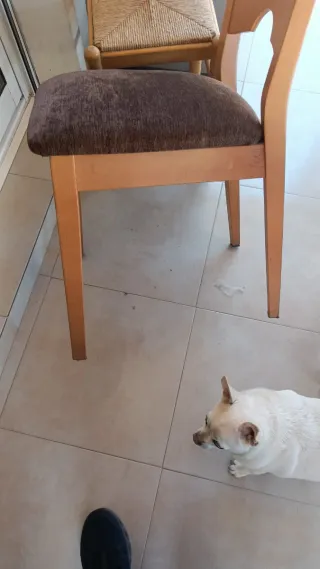 Mesa comedor madera y 4 sillas cristal