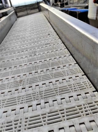 Cinta intralox en acero inox OMAR 5,70 metros