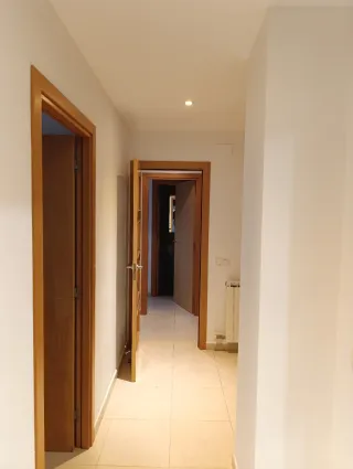 Pintor profesional con experiencia