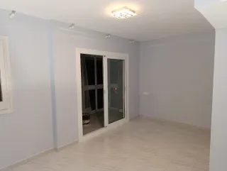 Pintor profesional con experiencia