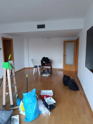 Pintor profesional con experiencia