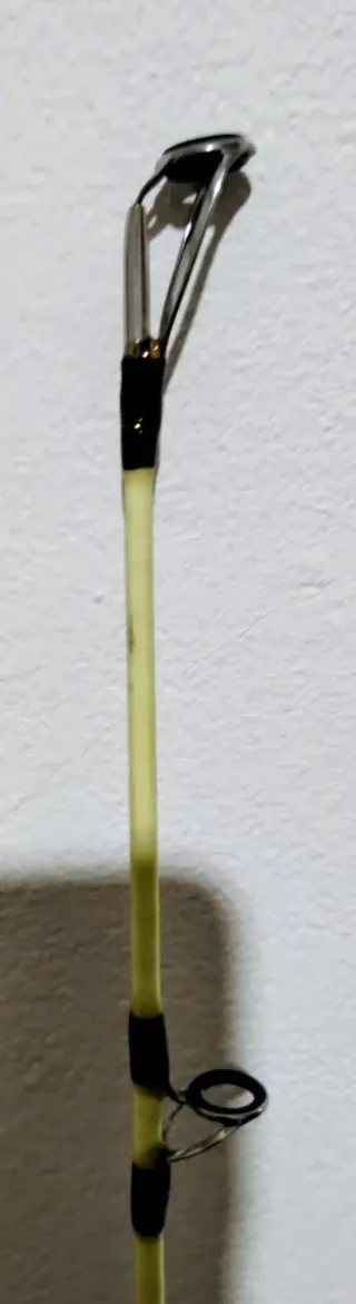 Canna da pesca CASSIOPEA