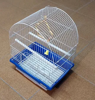 Gabbia per uccelli completa con vassoio estraibile.