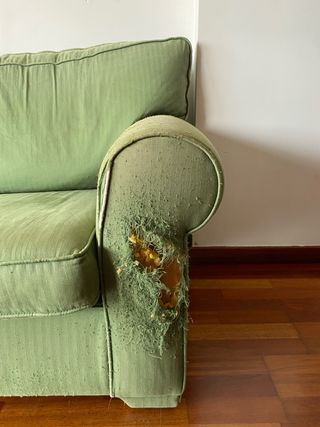 Sofás 2 y 3 plazas verde