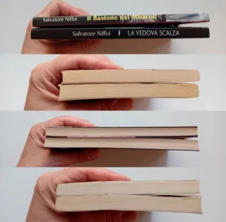 Salvatore Niffoi 2 libri