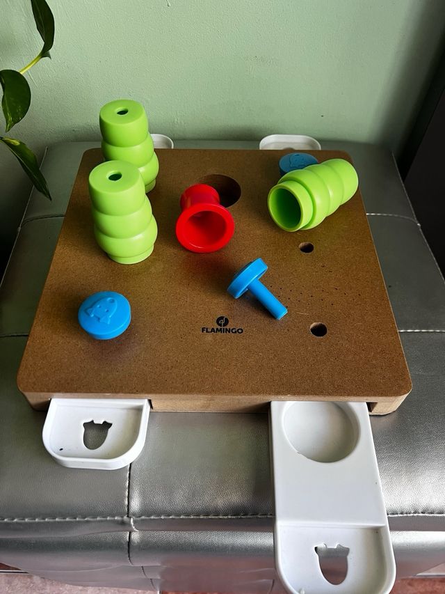 Juego de inteligencia para perros