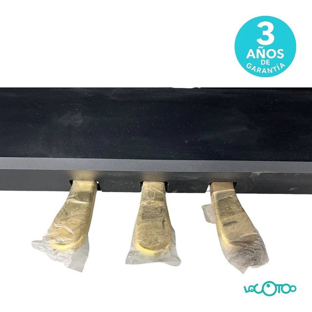 Piano Roland RP-301-SB Electrónico