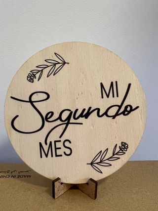 Mi Primer Mes Tarjeta Recién Nacido hasta el año