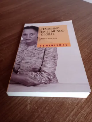 Feminismo en el mundo global (Spanish Edition)