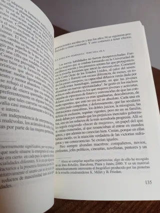 Feminismo en el mundo global (Spanish Edition)