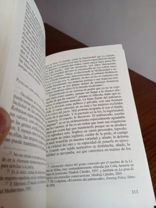 Feminismo en el mundo global (Spanish Edition)