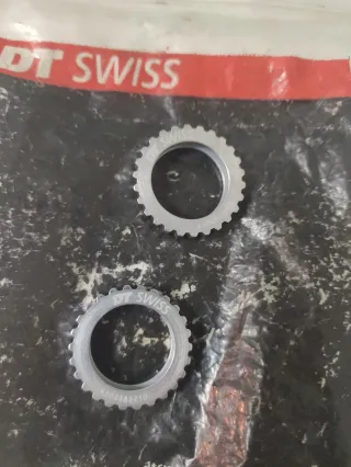 DT Swiss 36t Trinquete