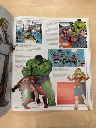 HULK. LA GUIA DEFINITIVA (DIVULGACION DK) (Span...