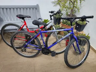 Bicicleta Globe Trotter Azul de 18 marchas Shimano