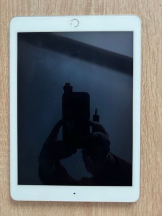 iPad Pro 9.7 32GB 2016 Argento