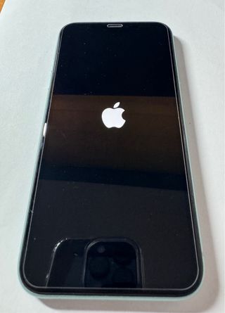 iPhone 11 Verde 64GB