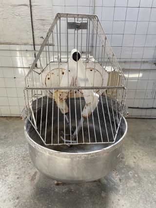 Maquinaria de panadería y confitería completa