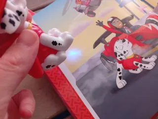 Pack 4 Cuentos Patrulla Canina + Muñecos linterna