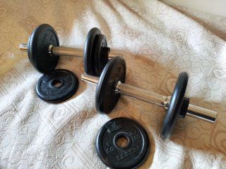 Banco de entrenamiento con mancuernas y discos.