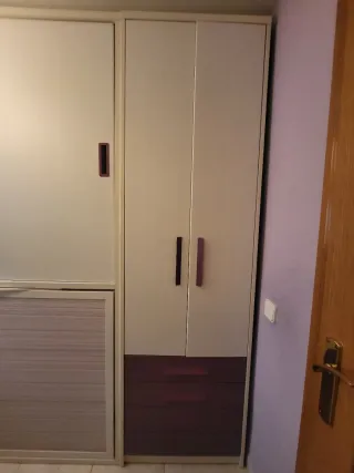 Armario con cama y escritorio.