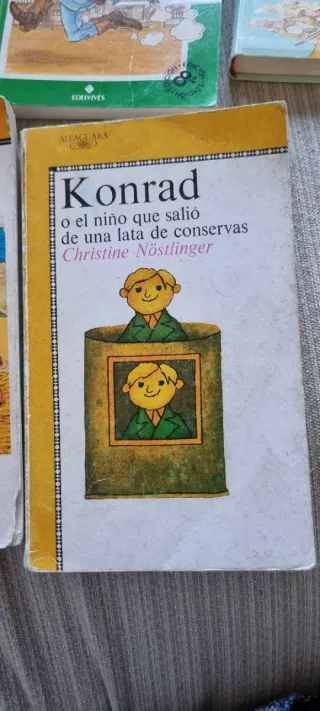 Lote 5 libros de 10-12 años