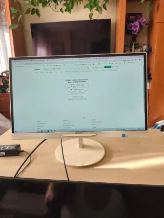 Monitor Philips 234E Blanco y Negro