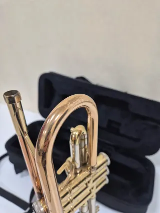 Trompeta Sib Grado Superior