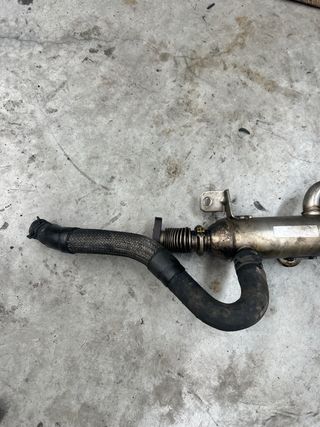 Enfriador Válvula EGR Citroen Jumpy RHZ