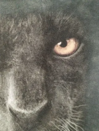 T-shirt bimbo pantera nera tg. 8