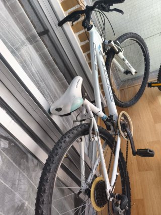 Bicicleta B-PRO
