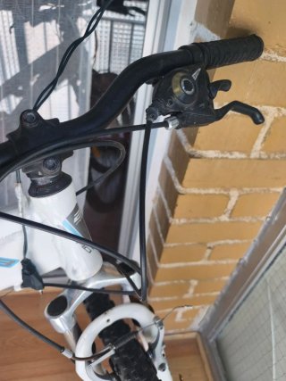 Bicicleta B-PRO