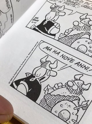 Hagar Fumetti in Tasca 100% Vichingo